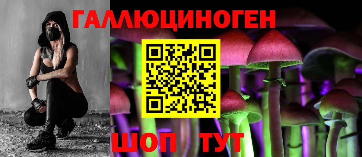 Галлюциногенные грибы Magic Shrooms Топки