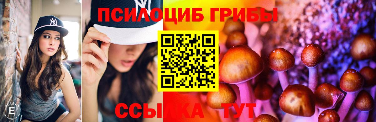 Псилоцибиновые грибы ЛСД  Псилоцибиновые грибы Magic Shrooms  Вход с VPN  Топки 